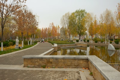 且末县沙漠公园