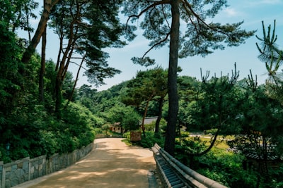 东海青松岭森林公园