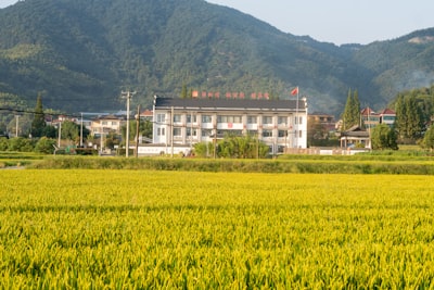 共青团农场旅游图片