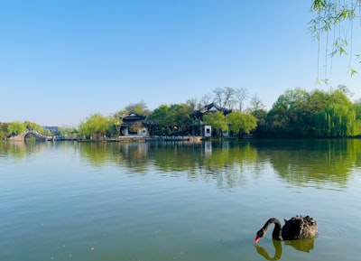 北海子公园旅游图片
