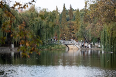 北海子公园旅游图片