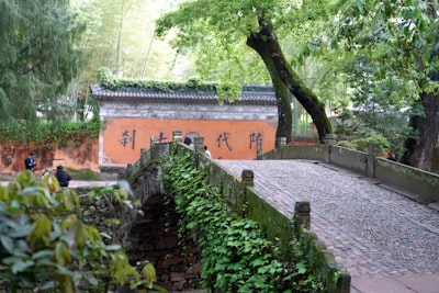 双河市军团旧址实景图片