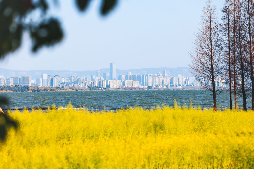 双河市艾比湖湿地旅游图片
