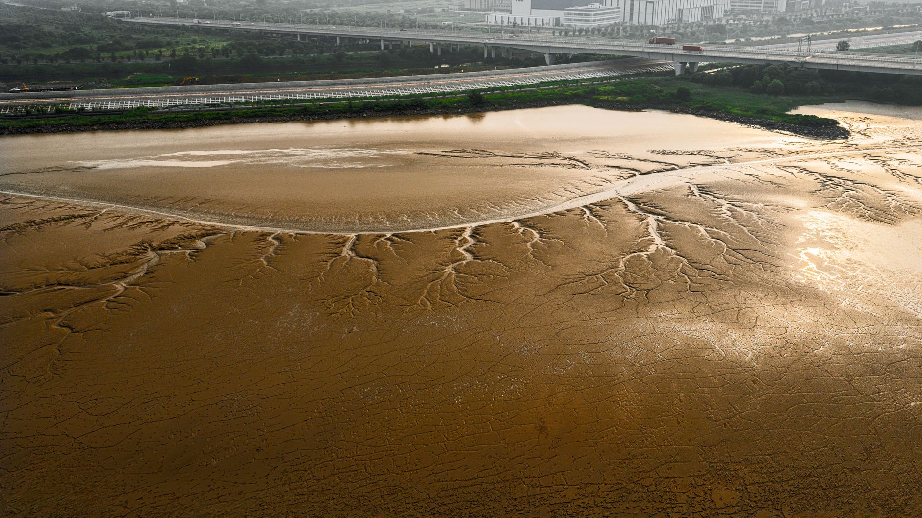 双河市艾比湖湿地实景图片