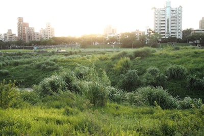 双河市野生动植物保护区旅游图片