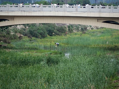 双河市野生动植物保护区旅游图片
