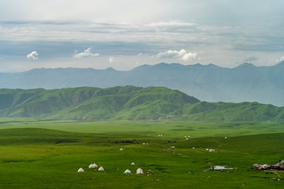 可克达拉草原旅游图片