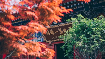 叶集红色文化景区旅游图片