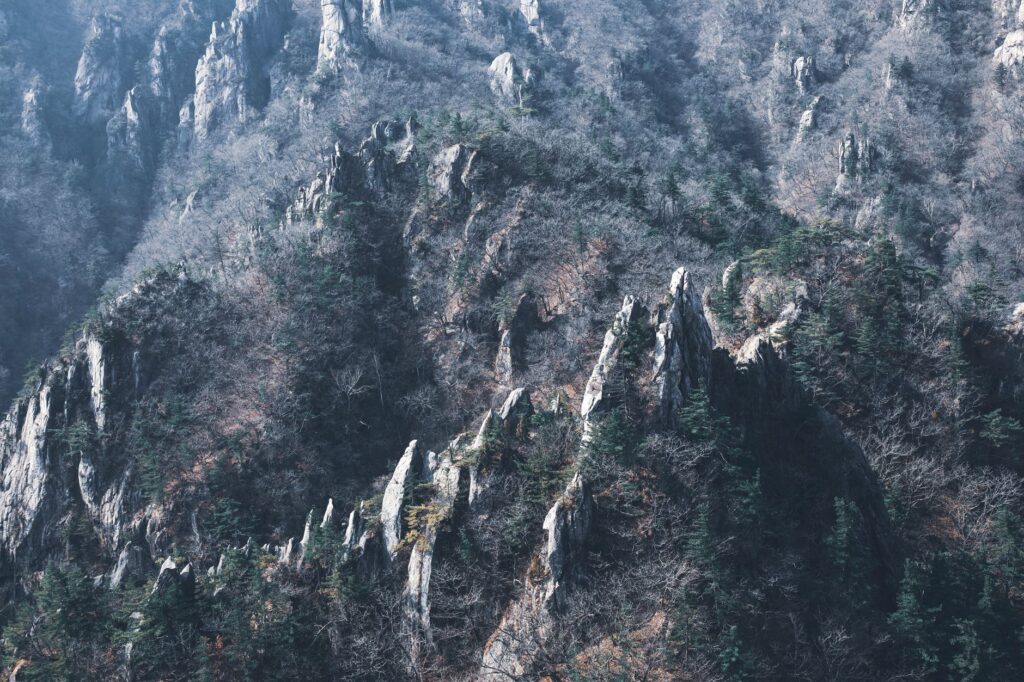大王山国家森林公园