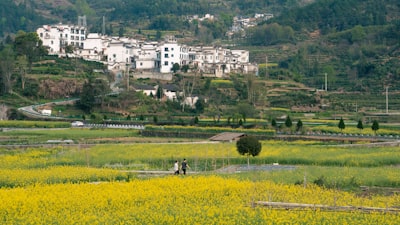 宁化泉上古村落旅游图片