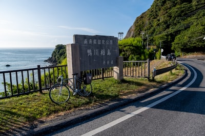 安吉星潮营地实景图片