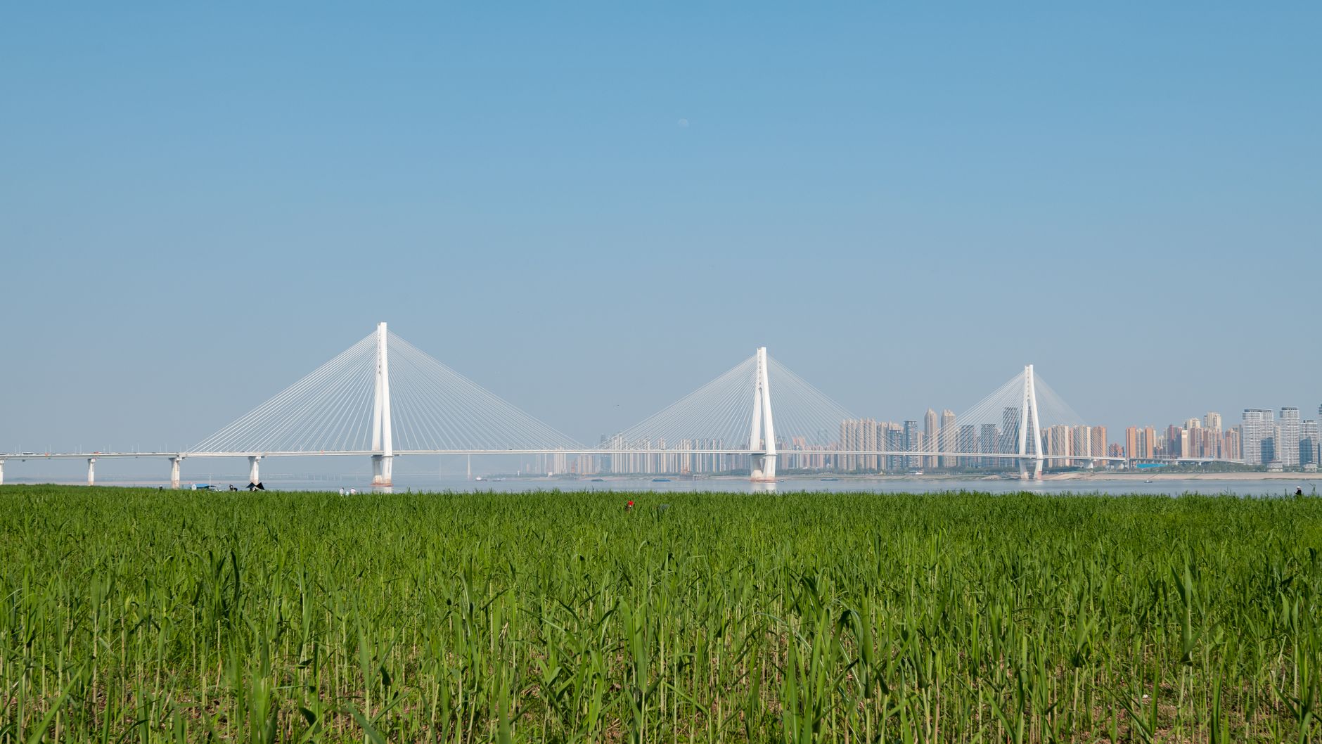宿迁大桥