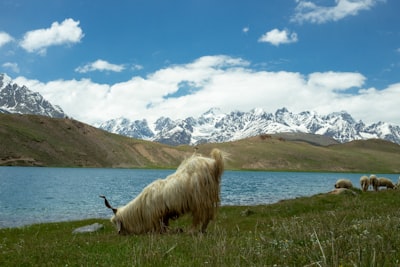 尕海湖