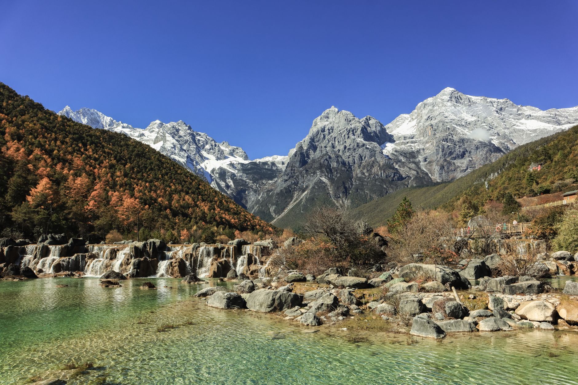 布朗山