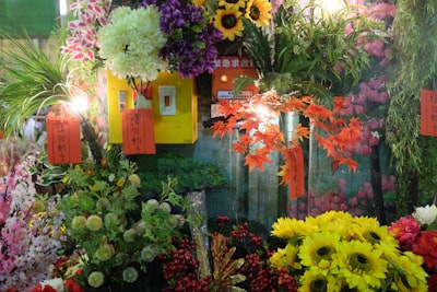 斗南花卉市场旅游图片