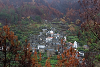 柯村