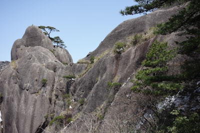 桑株岩画旅游图片