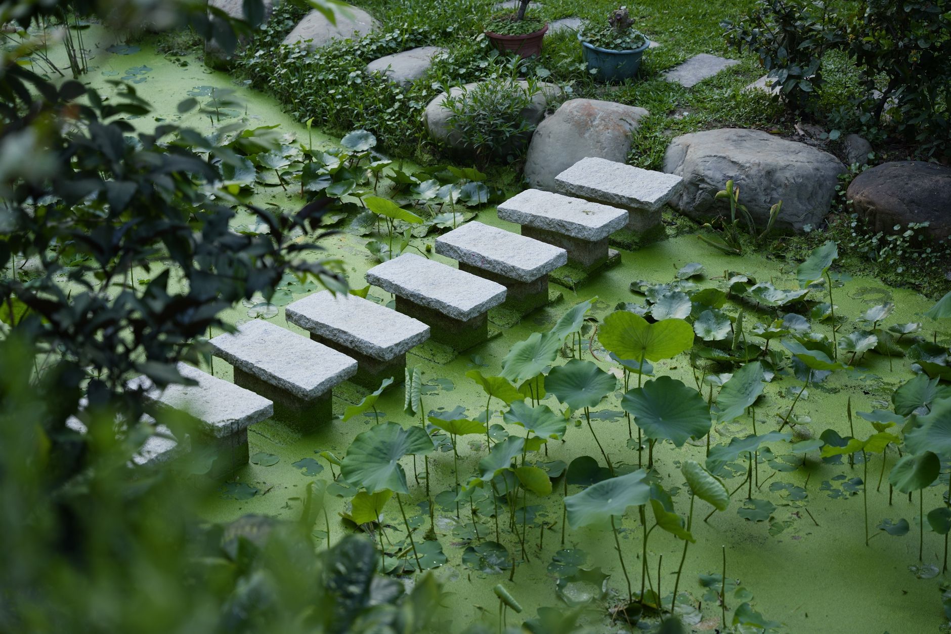 淮安市植物园
