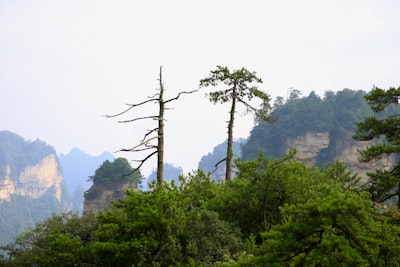 贺州玉石林实景图片