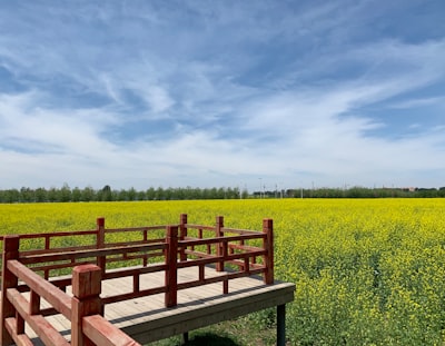 皮山农场昆仑山观景台旅游图片