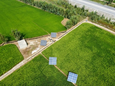 红星一场现代农业科技园旅游图片