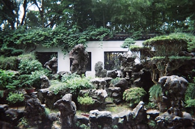 绥德汉画像石馆旅游图片