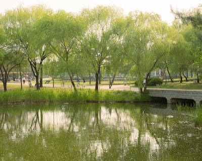 胡杨河市体育公园