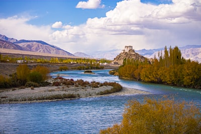 胡杨河市图书馆旅游图片