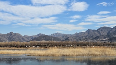 胡杨河湿地保护区