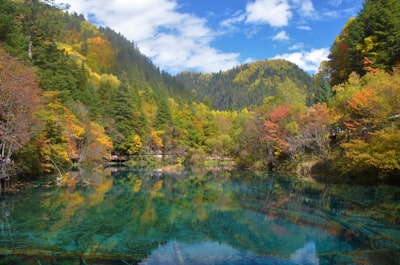 虎爪山国家森林公园旅游图片