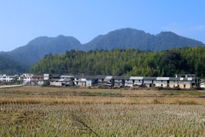 防里古村