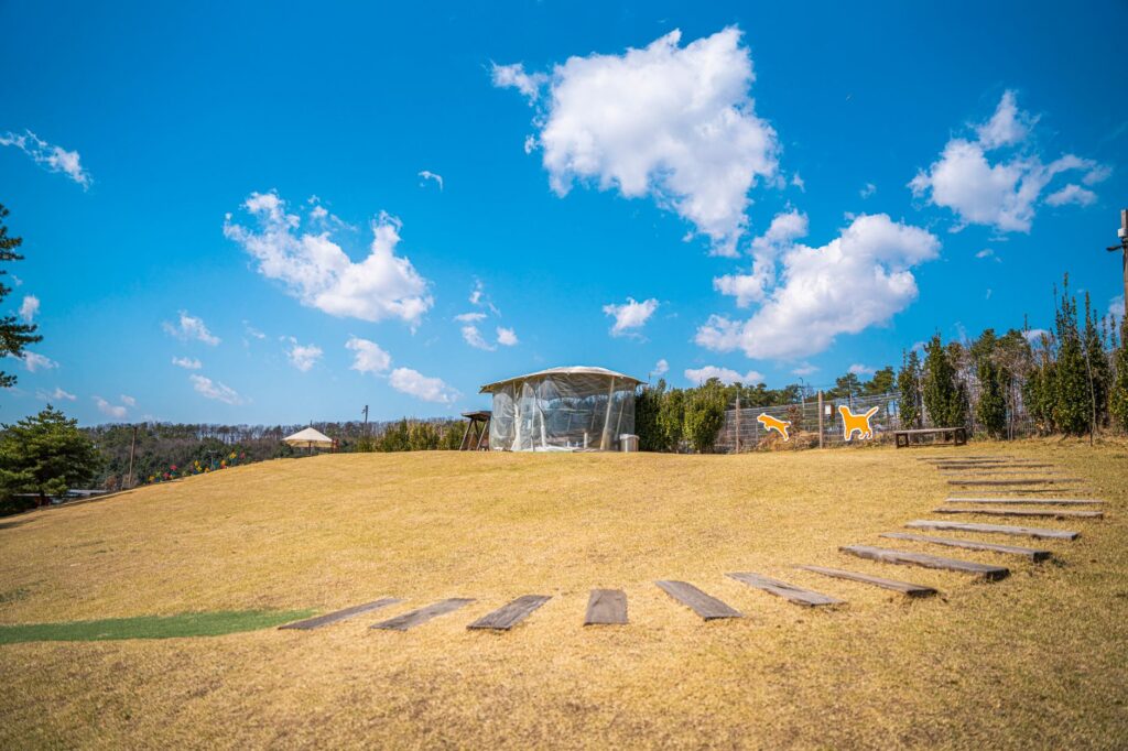 飞云公园旅游图片
