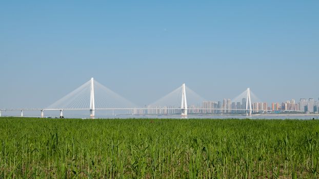 高石碑镇汉江沙滩