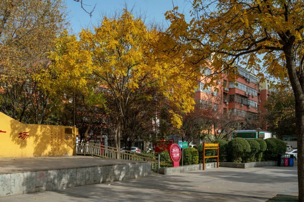 黄河文化园旅游图片
