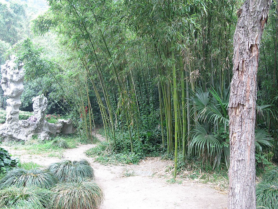 瘦西湖实景图片
