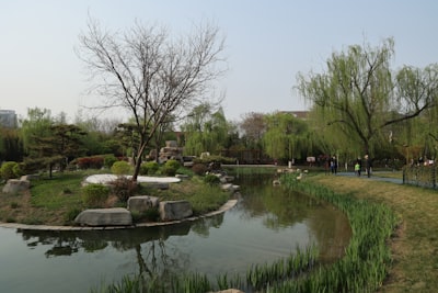 十二团生态观光园实景图片