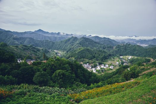 青县觉道庄景区旅游图片
