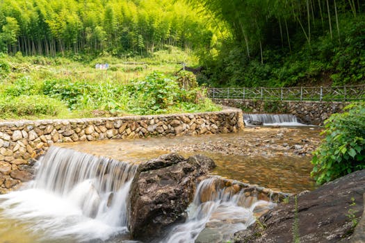 石河生态公园旅游图片