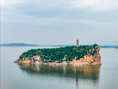 衡水湖鸟岛实景图片