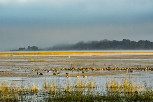 原平滹沱河湿地实景图片