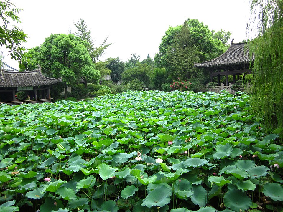 沈园园林景色实景图片