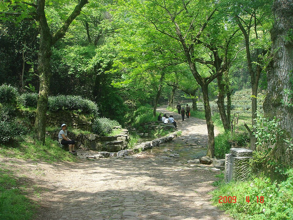 九溪十八涧实景图片