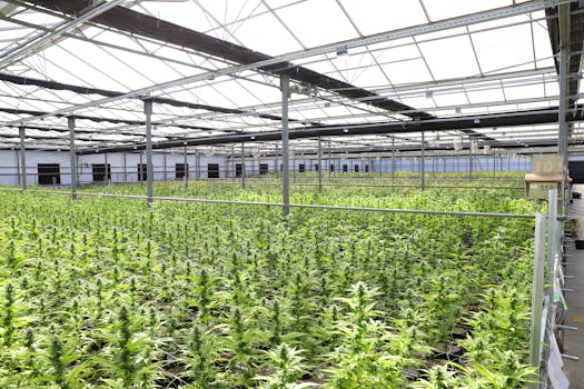 哈密市农业科技园实景图片