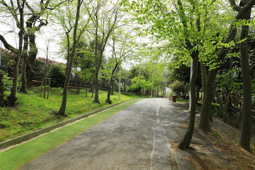 凤凰山森林公园实景图片