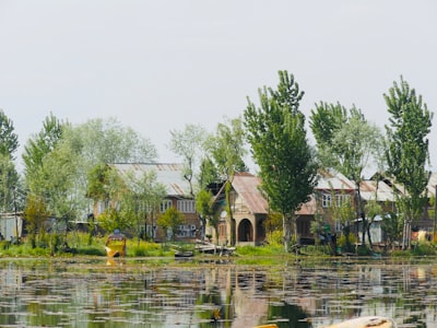 伊犁河渔村湖景