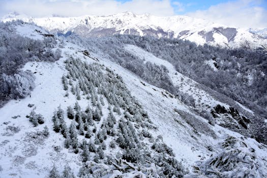 巴里坤山候选图-冬季雪景
