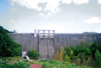 金山湖实景图片