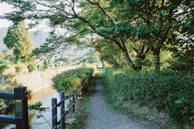 葛西河生态走廊实景图