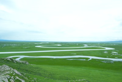 泗县沱河湿地