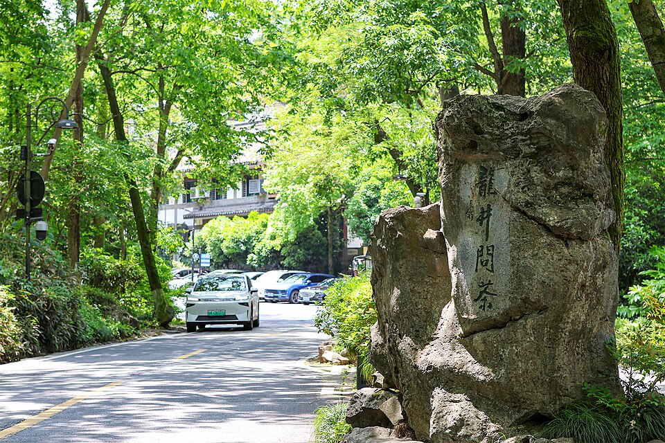龙井村村落全景